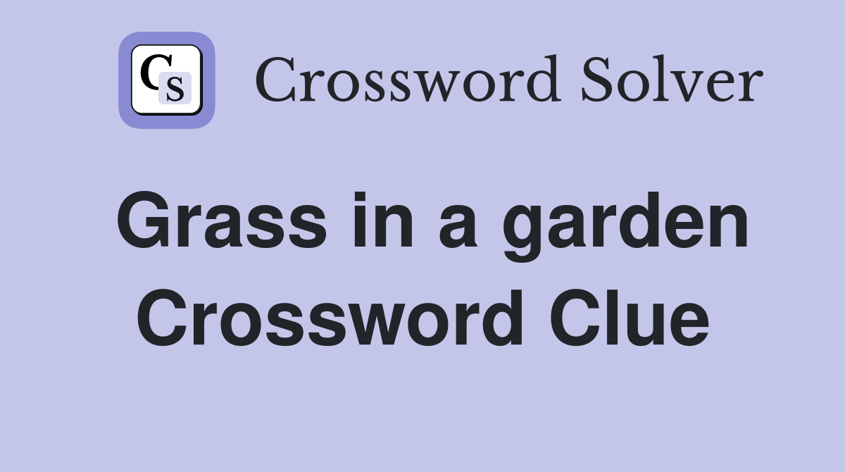Grass in a garden Crossword Clue