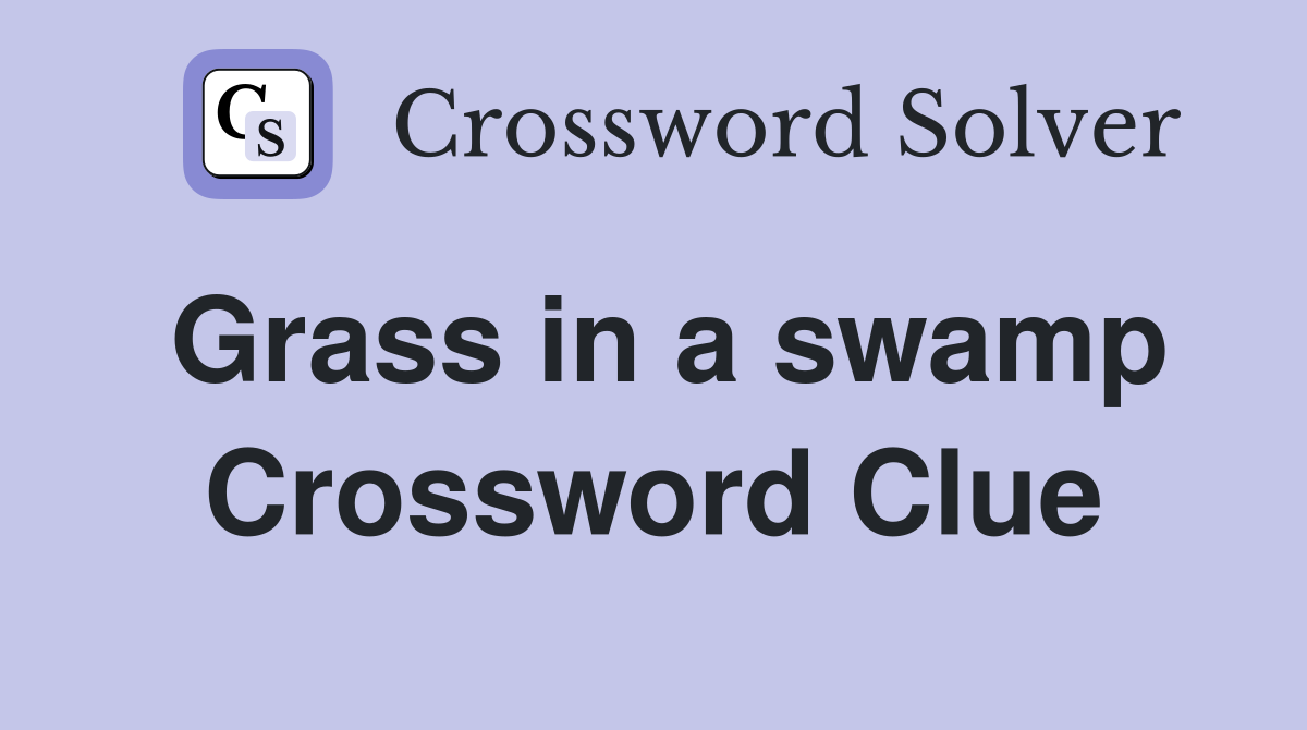 Grass in a swamp Crossword Clue