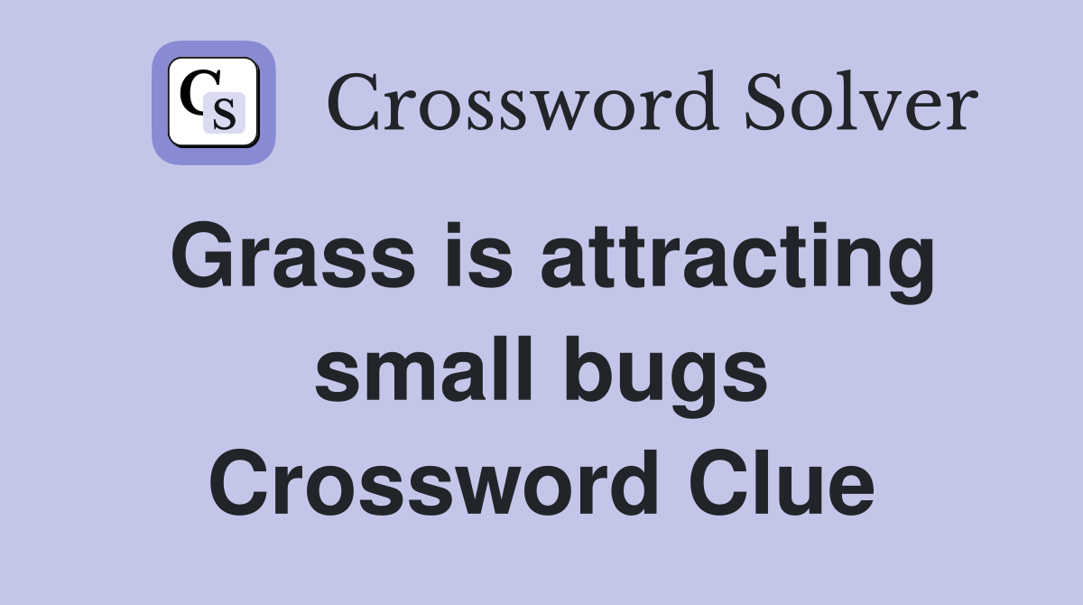 Grass is attracting small bugs Crossword Clue