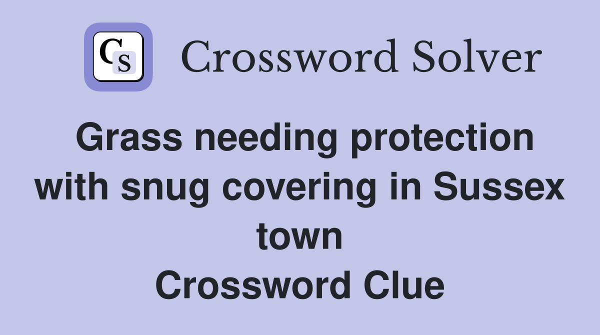 Grass needing protection with snug covering in Sussex town Crossword Clue