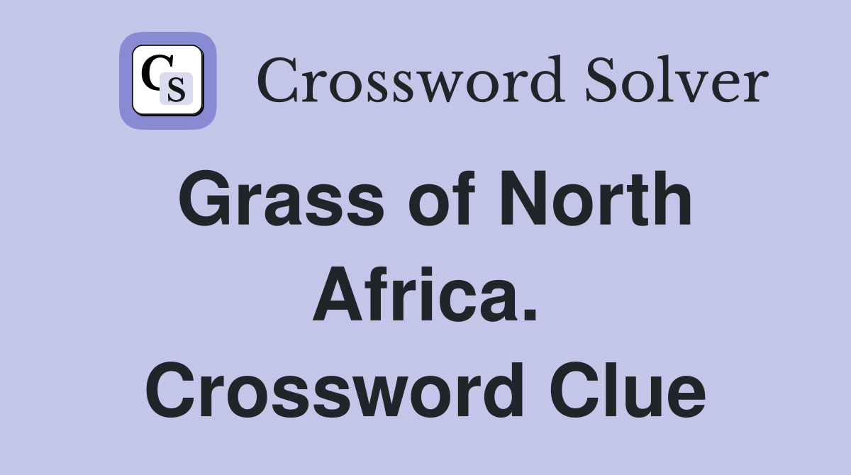 Grass of North Africa. Crossword Clue