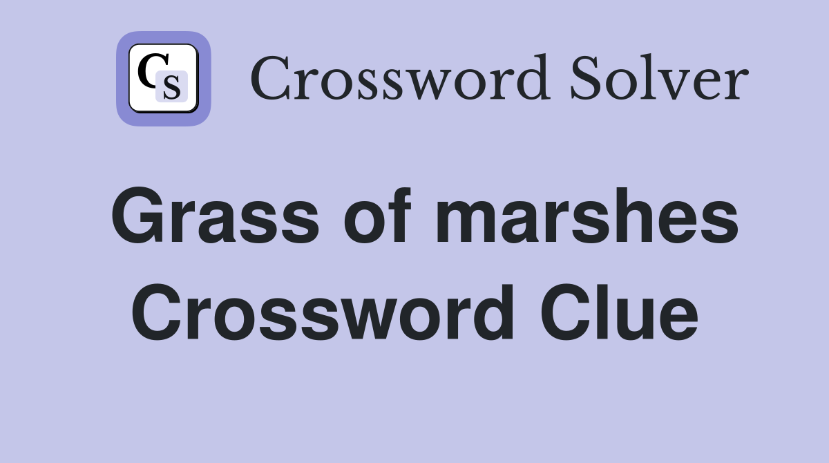 Grass of marshes Crossword Clue