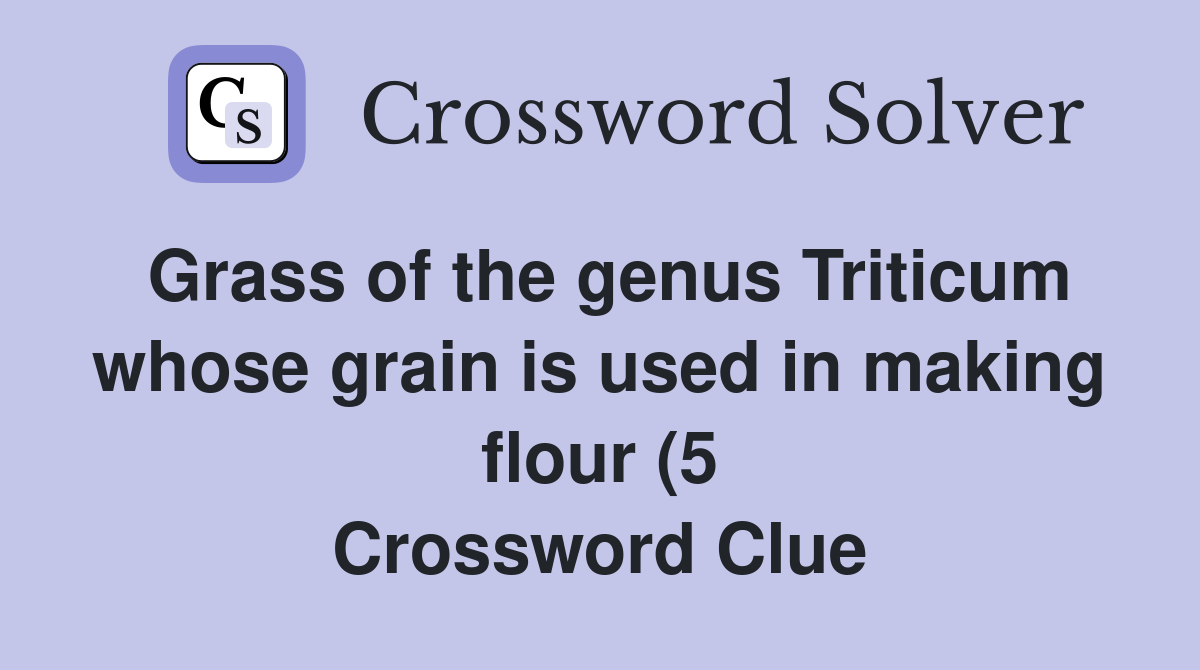 Grass of the genus Triticum whose grain is used in making flour (5 Grass of the genus Triticum whose grain is used in making flour (5
