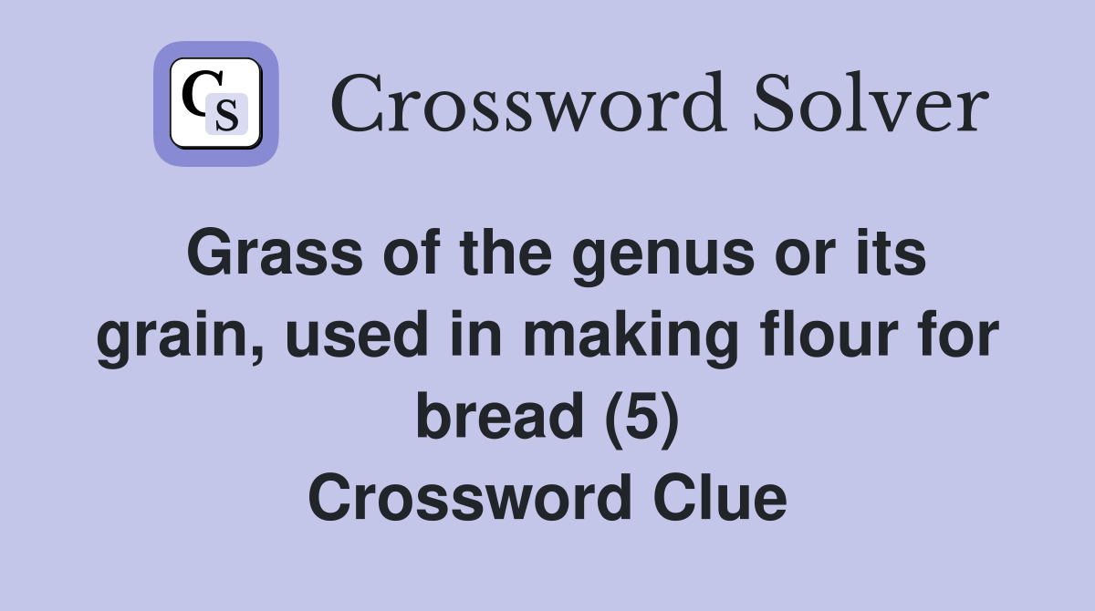 Grass of the genus or its grain, used in making flour for bread (5) Crossword Clue