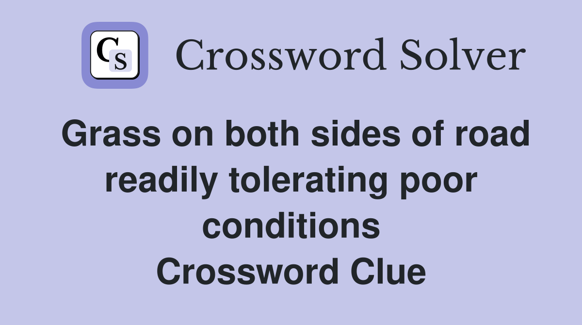 Grass on both sides of road readily tolerating poor conditions Crossword Clue