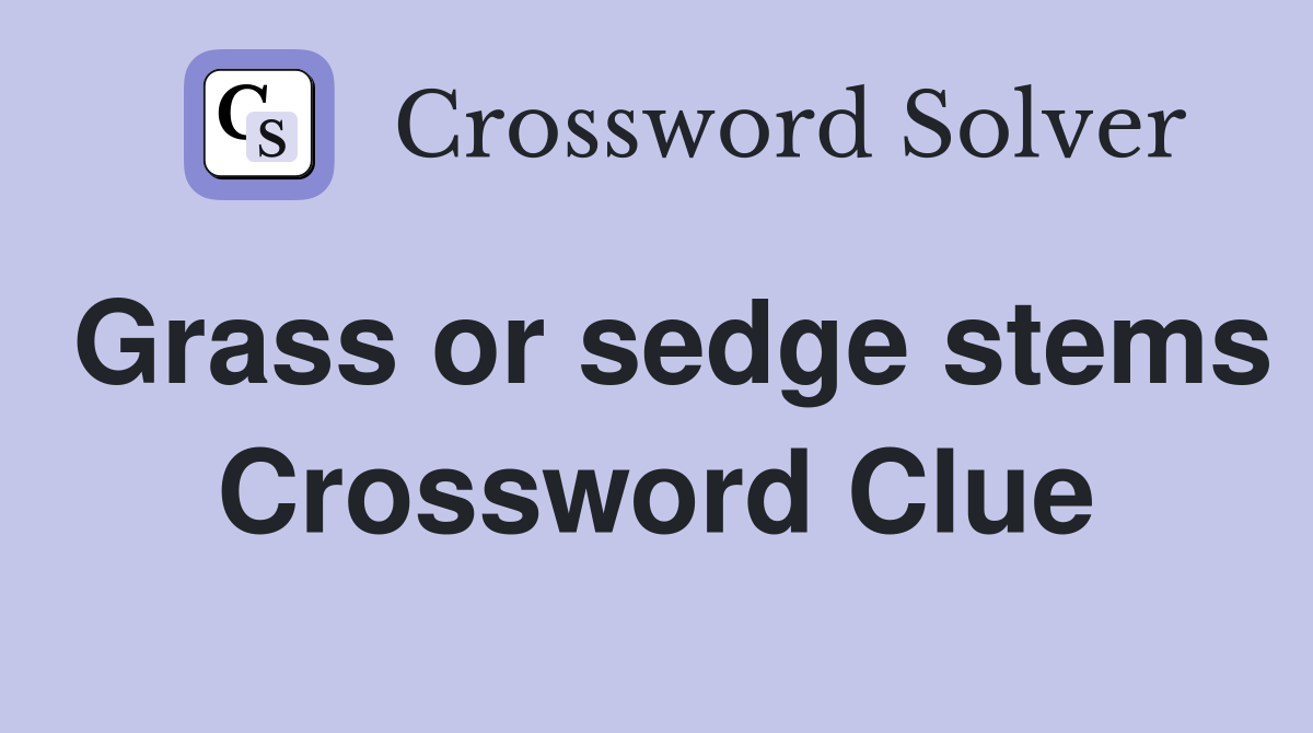 Grass or sedge stems Crossword Clue