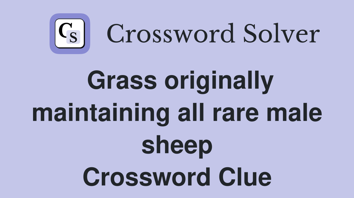 Grass originally maintaining all rare male sheep Crossword Clue