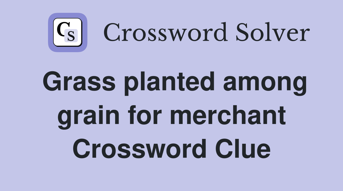 Grass planted among grain for merchant Crossword Clue