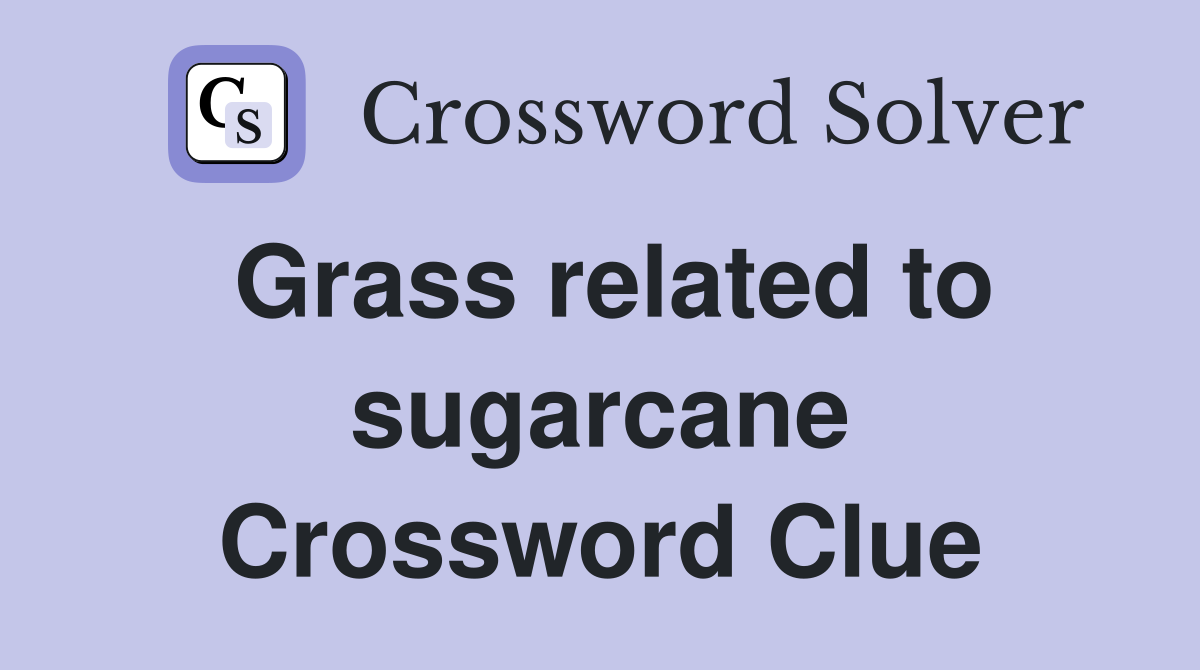 Grass related to sugarcane Crossword Clue