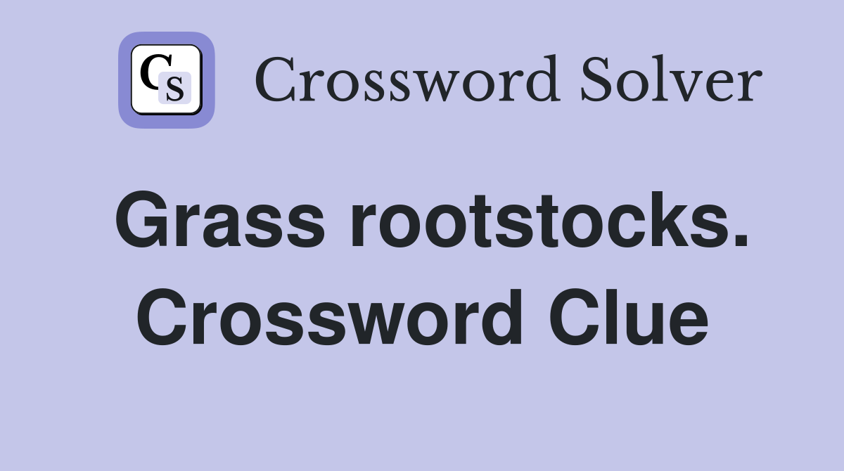 Grass rootstocks. Crossword Clue
