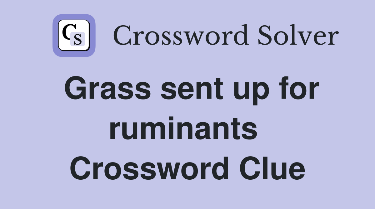 Grass sent up for ruminants  Crossword Clue