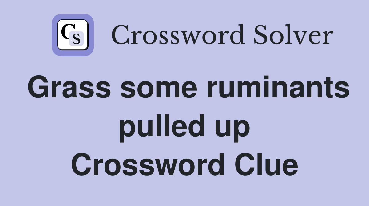 Grass some ruminants pulled up Crossword Clue