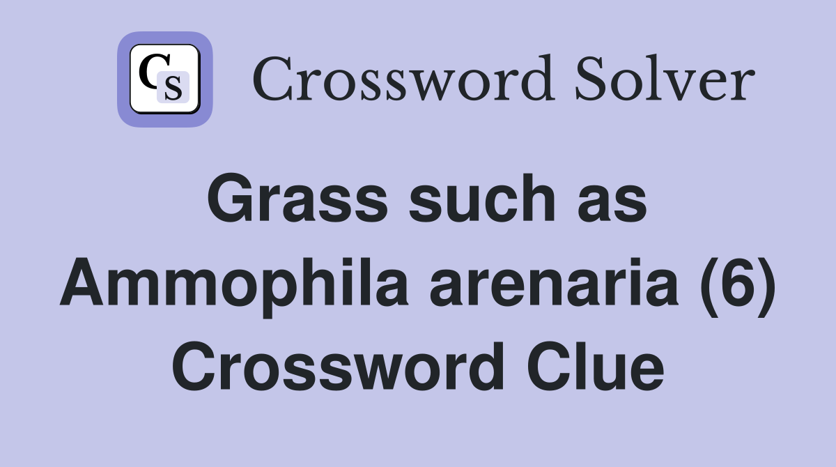 Grass such as Ammophila arenaria (6) Crossword Clue