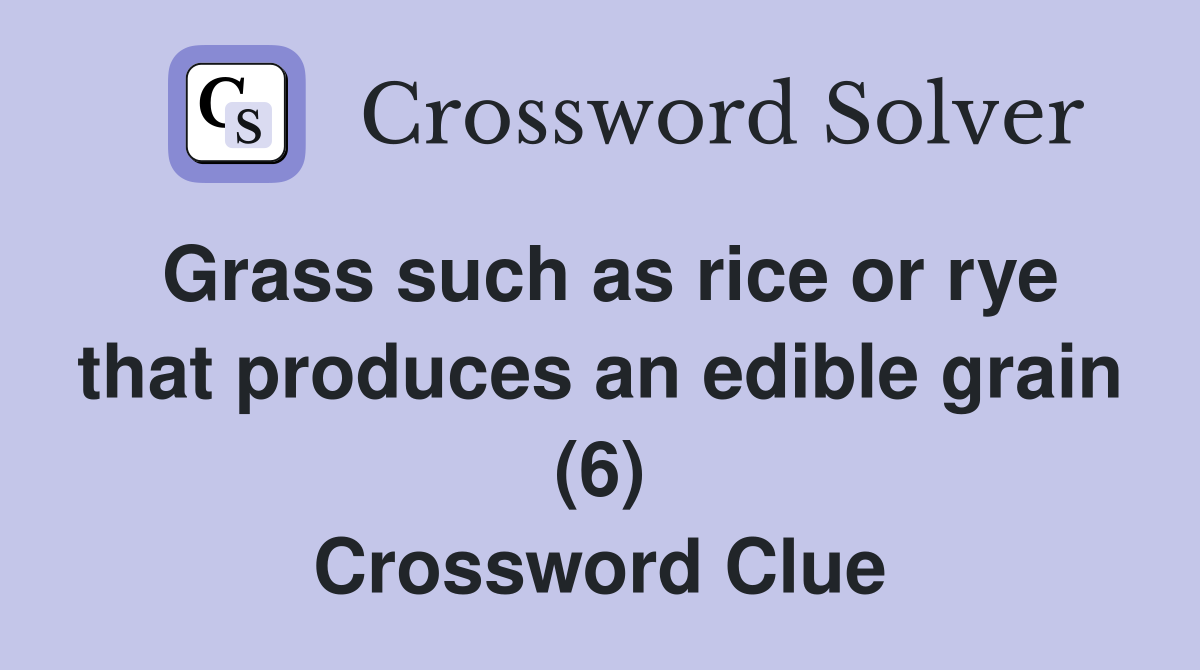 Grass such as rice or rye that produces an edible grain (6) Crossword Clue