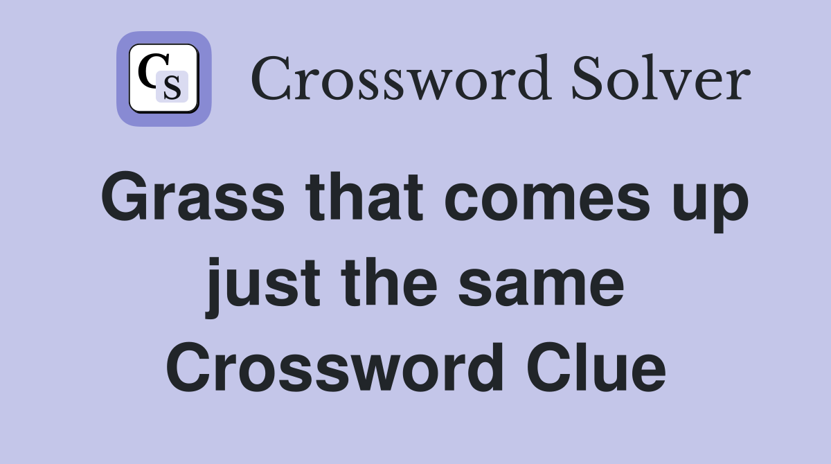 Grass that comes up just the same Crossword Clue