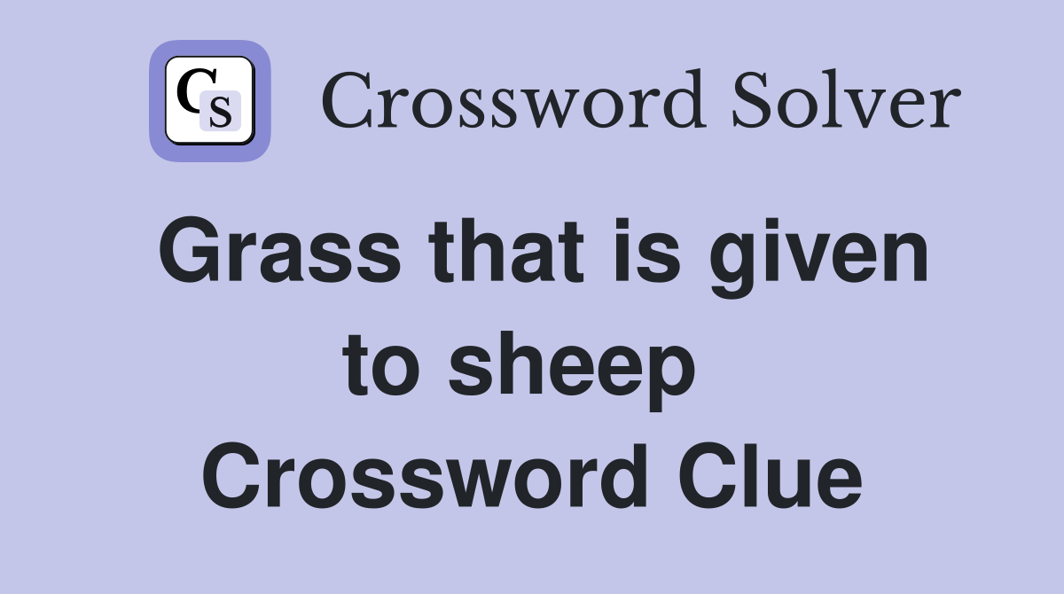 Grass that is given to sheep  Crossword Clue