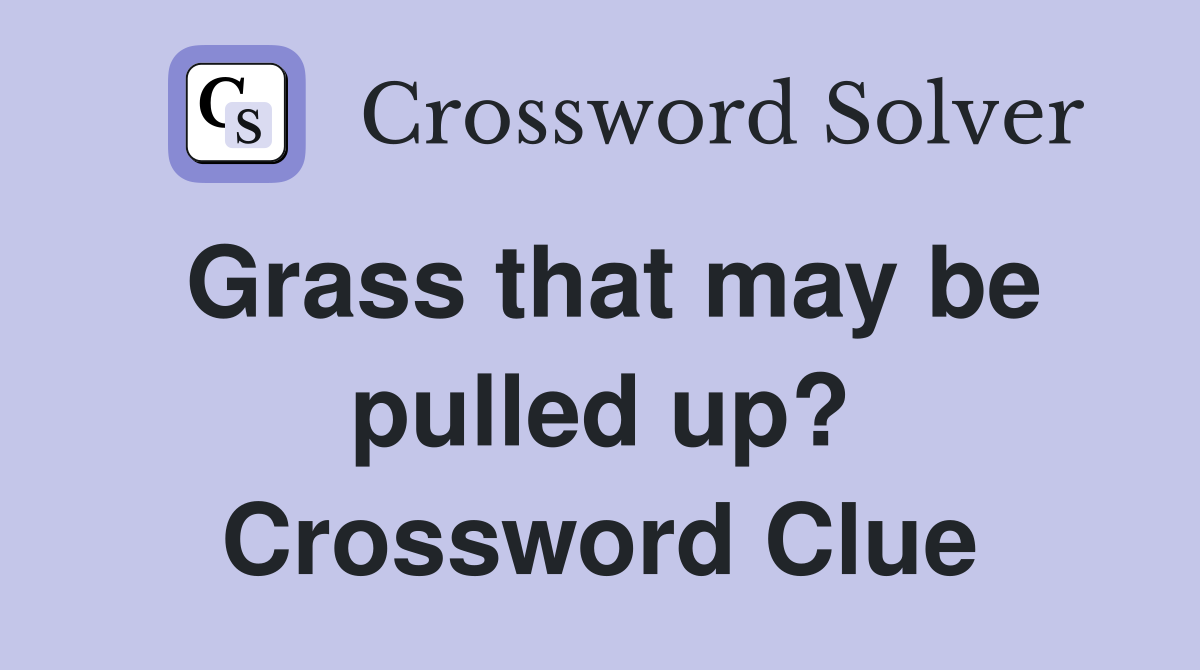 Grass that may be pulled up? Crossword Clue