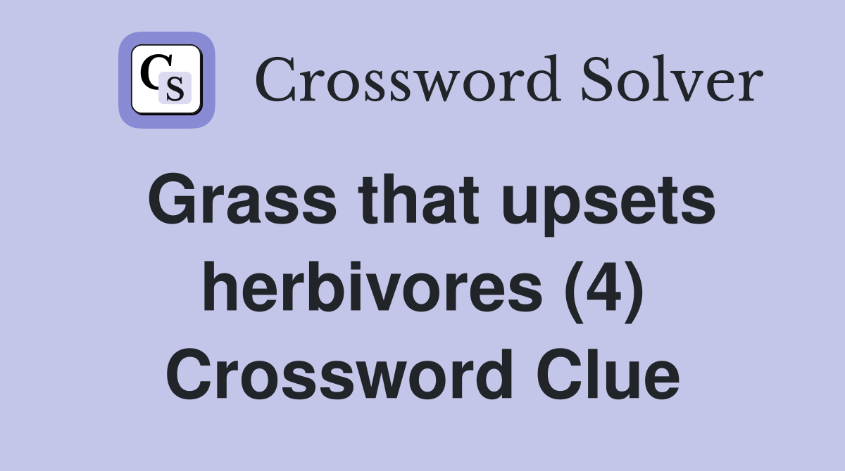 Grass that upsets herbivores (4) Crossword Clue