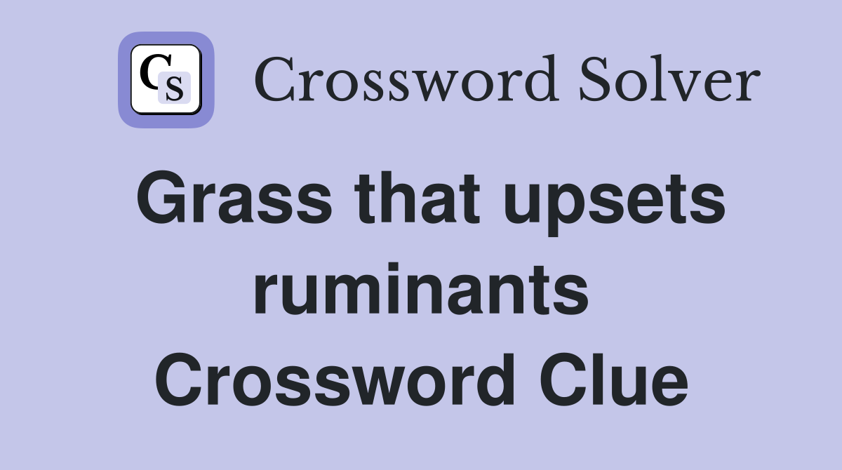 Grass that upsets ruminants Crossword Clue