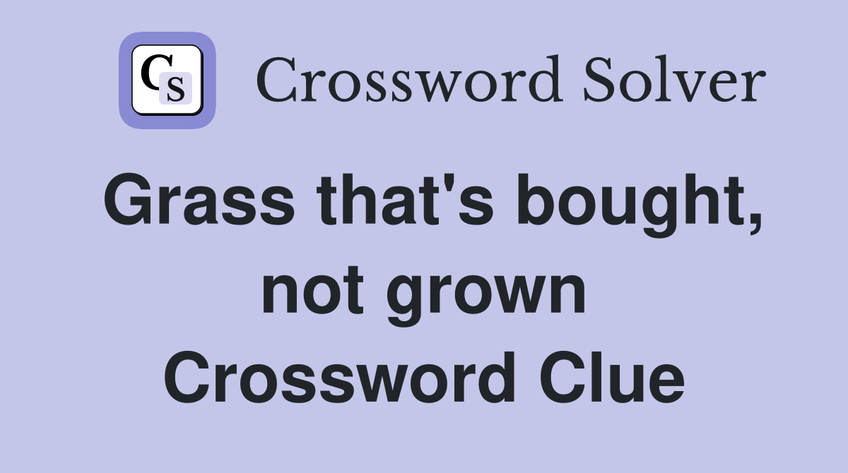 Grass that's bought, not grown Crossword Clue