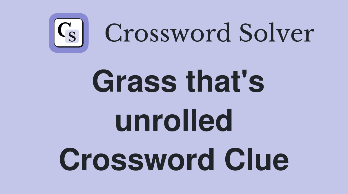 Grass that's unrolled Crossword Clue
