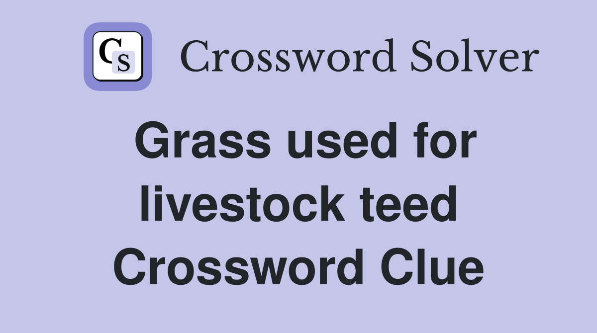 Grass used for livestock teed Crossword Clue