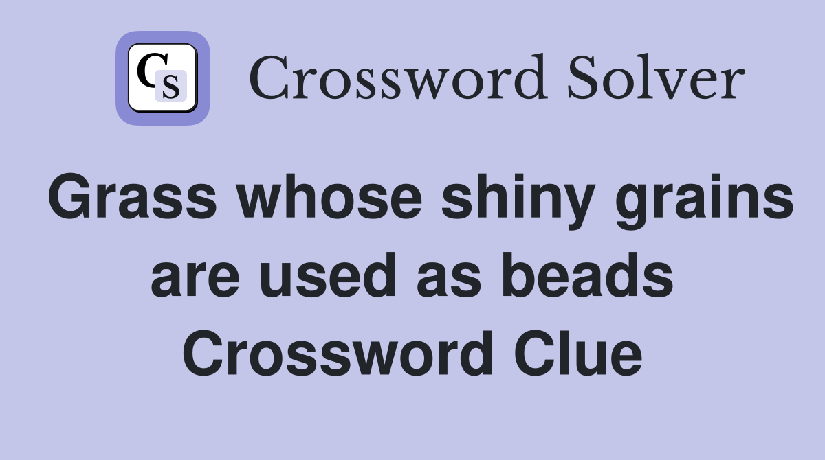 Grass whose shiny grains are used as beads Crossword Clue