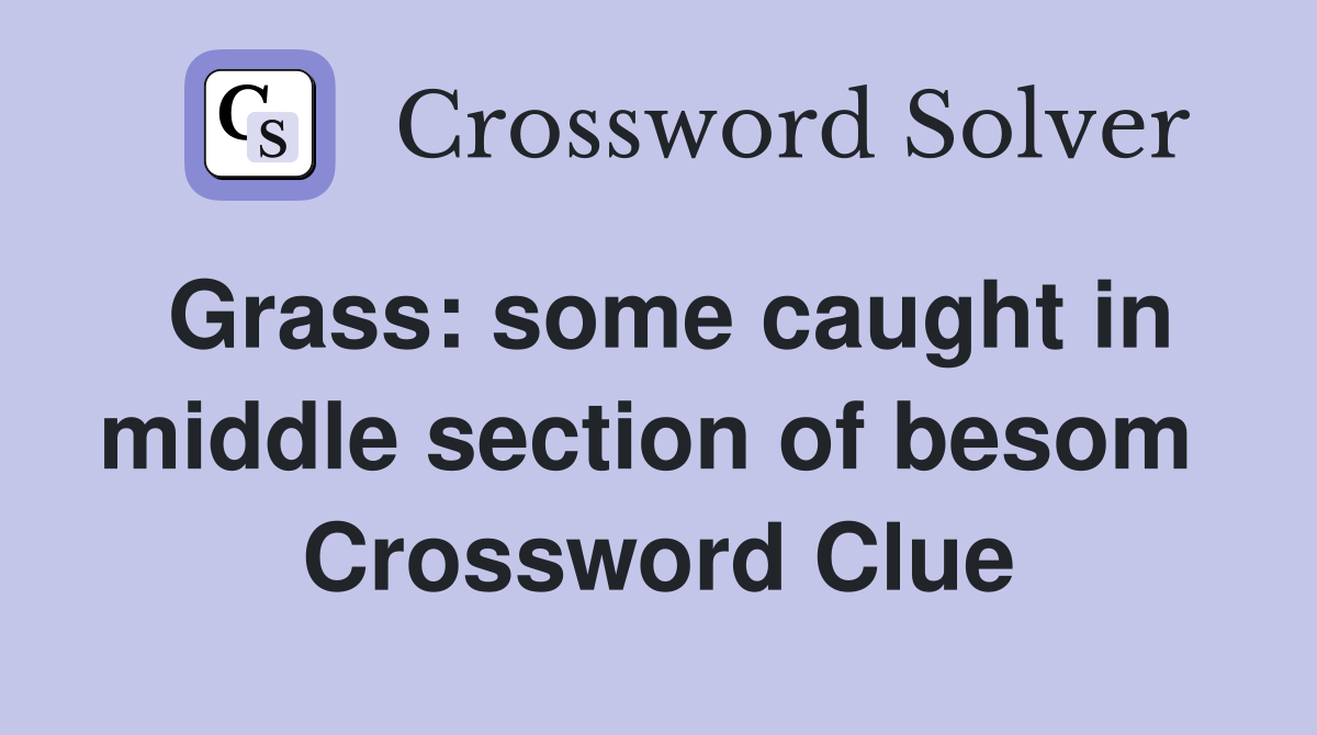 Grass: some caught in middle section of besom  Crossword Clue