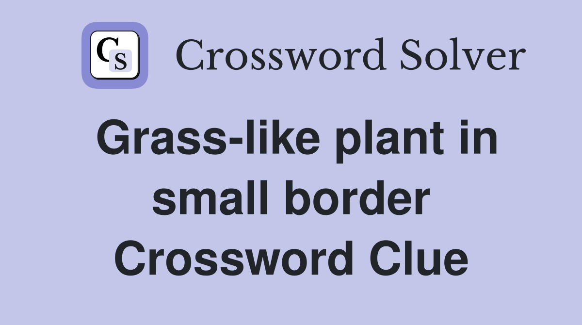 Grass-like plant in small border Crossword Clue