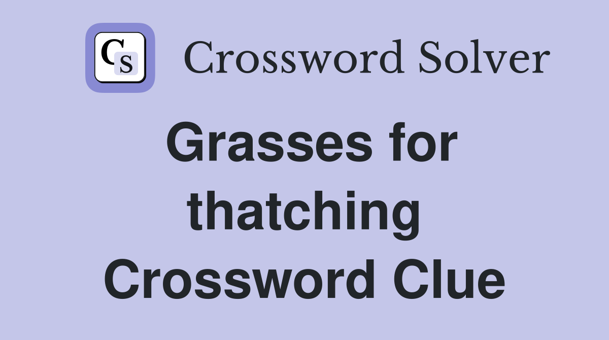 Grasses for thatching Crossword Clue