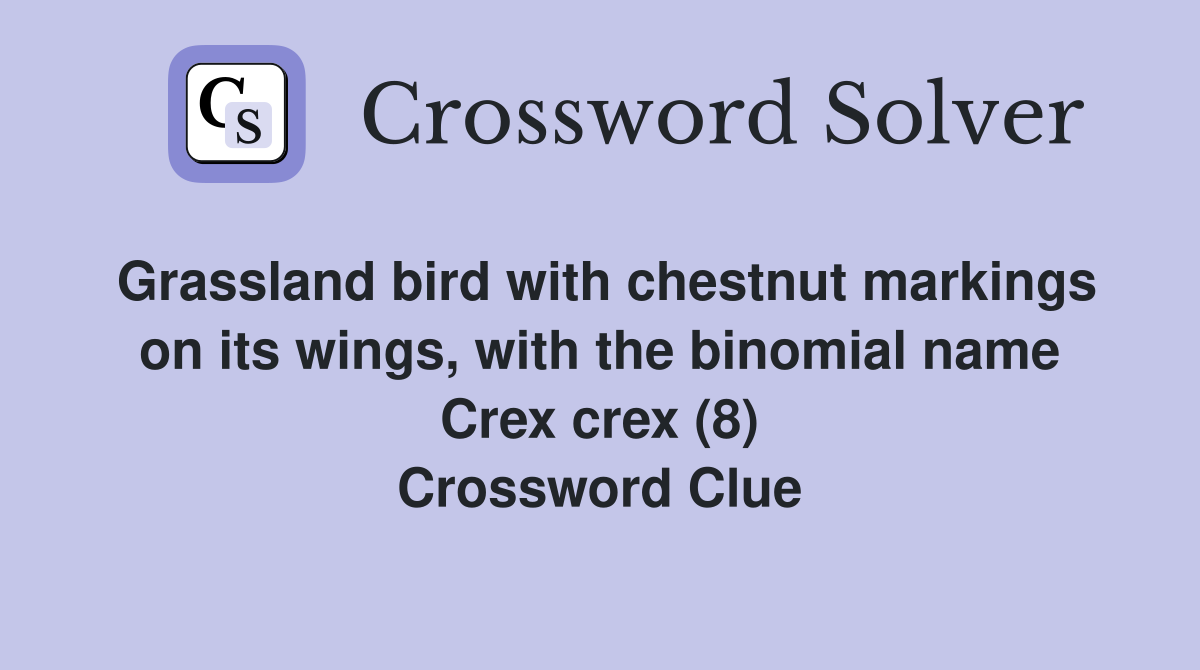 Grassland bird with chestnut markings on its wings, with the binomial name Crex crex (8) Crossword Clue