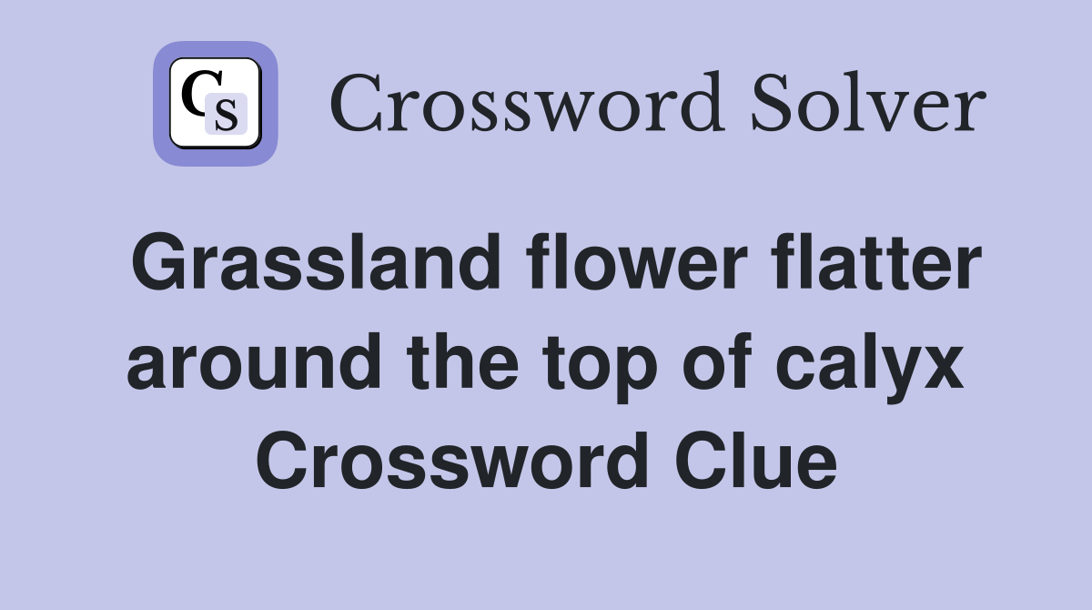 Grassland flower flatter around the top of calyx Crossword Clue