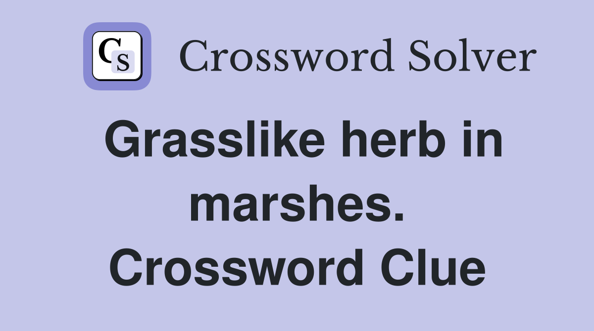 Grasslike herb in marshes. Crossword Clue