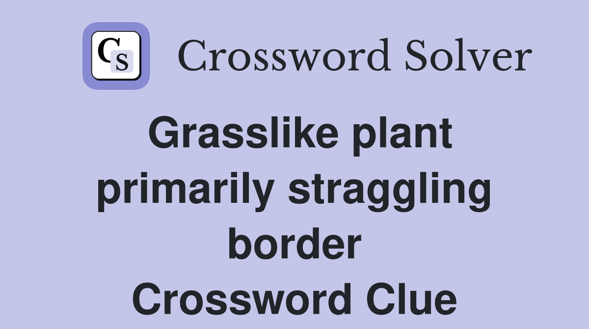 Grasslike plant primarily straggling border Crossword Clue