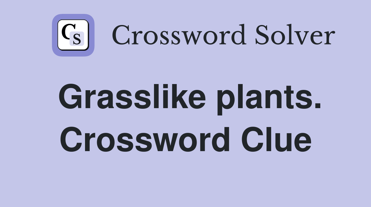 Grasslike plants. Crossword Clue