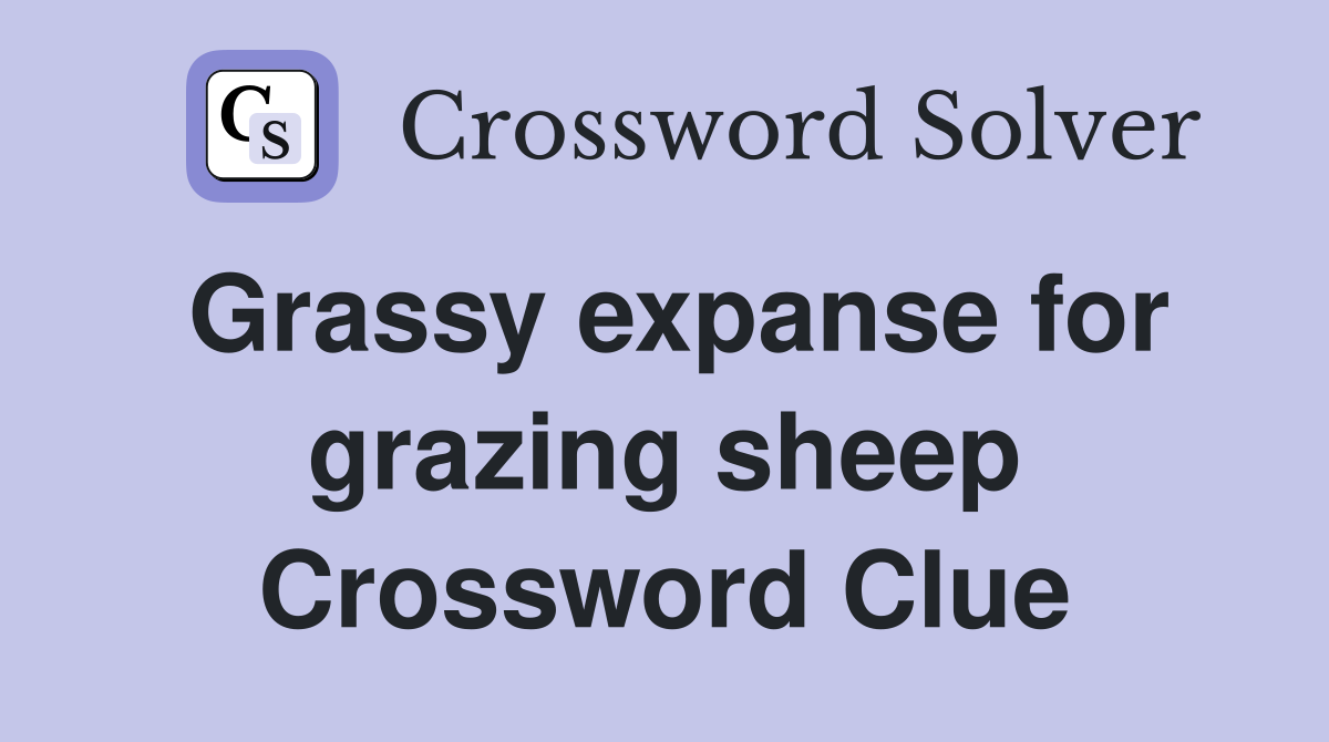 Grassy expanse for grazing sheep Crossword Clue
