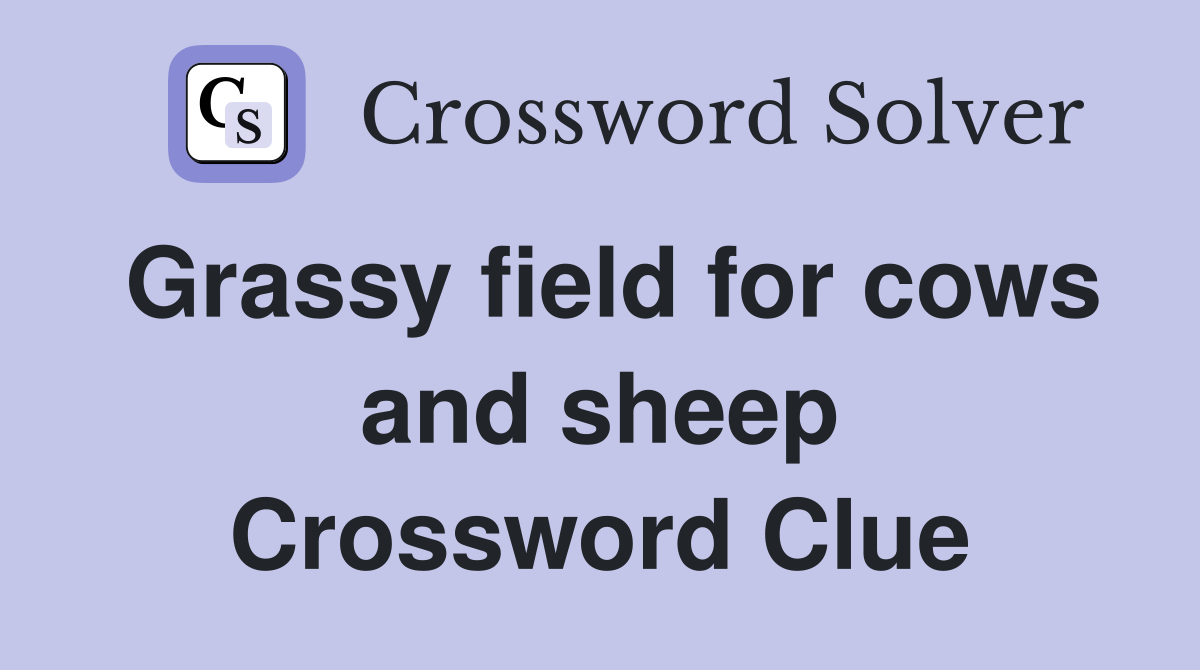 Grassy field for cows and sheep Crossword Clue