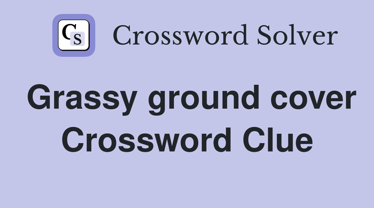 Grassy ground cover Crossword Clue