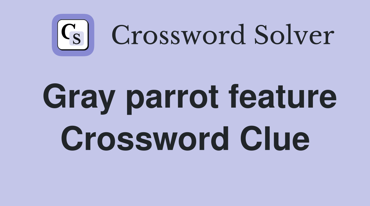 Gray parrot feature Crossword Clue