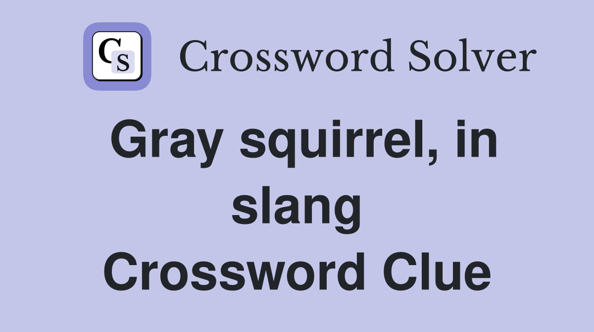 Gray squirrel, in slang Crossword Clue