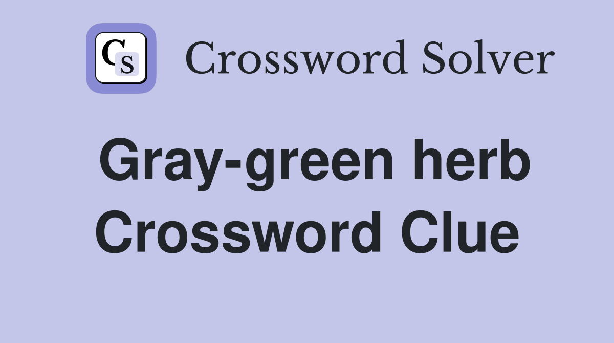 Gray-green herb Crossword Clue