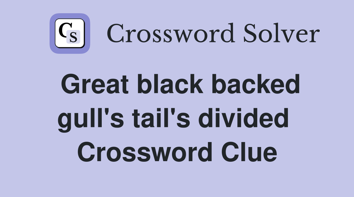 Great black backed gull's tail's divided  Crossword Clue