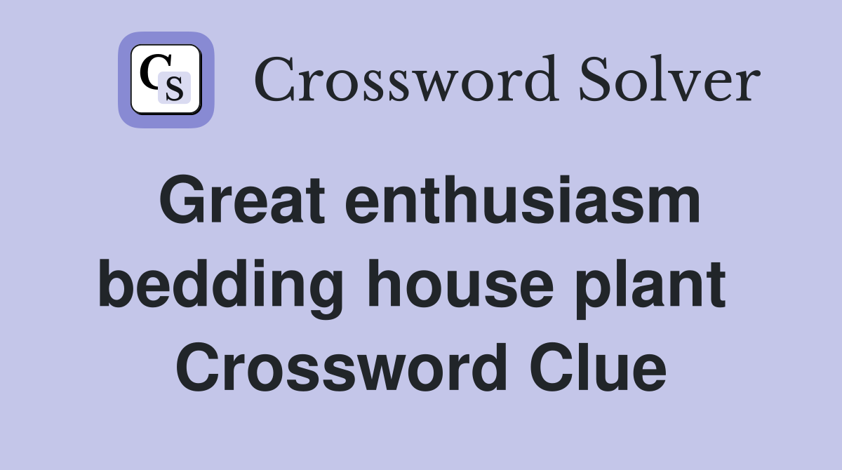 Great enthusiasm bedding house plant  Crossword Clue