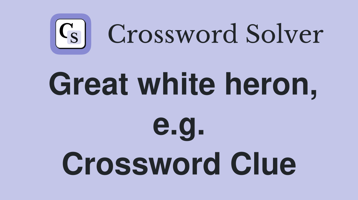Great white heron, e.g. Crossword Clue