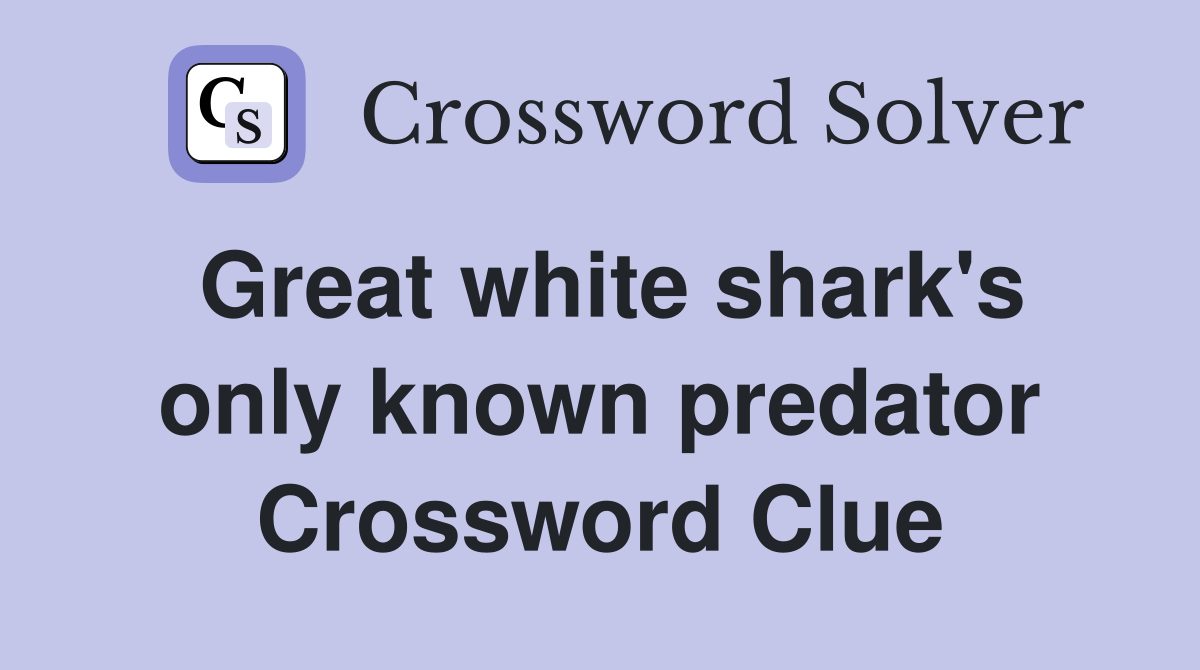 Great white shark's only known predator Crossword Clue