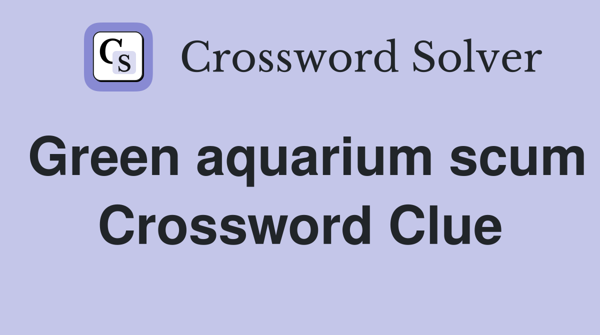 Green aquarium scum Crossword Clue