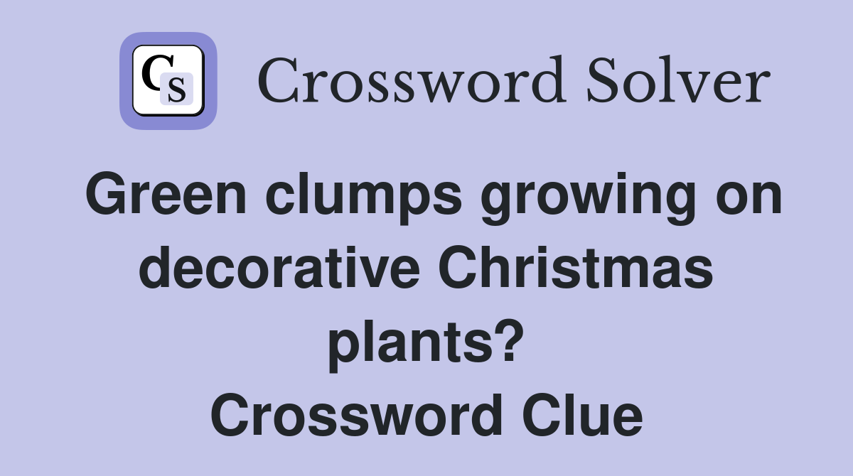Green clumps growing on decorative Christmas plants? Crossword Clue