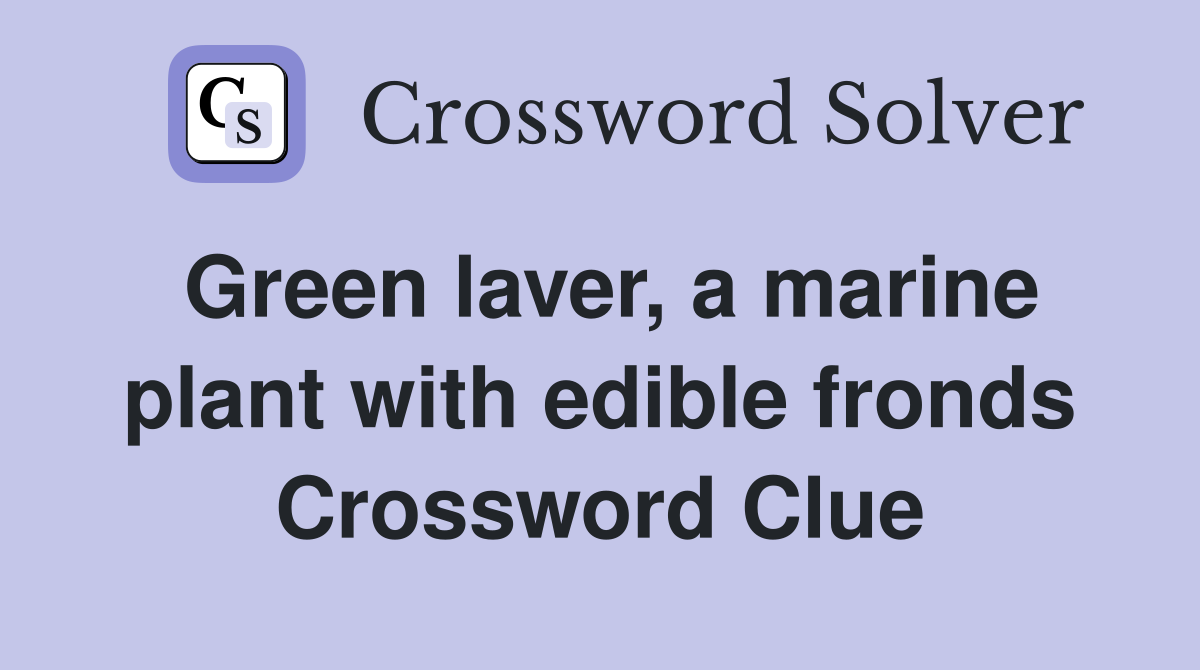 Green laver, a marine plant with edible fronds Crossword Clue