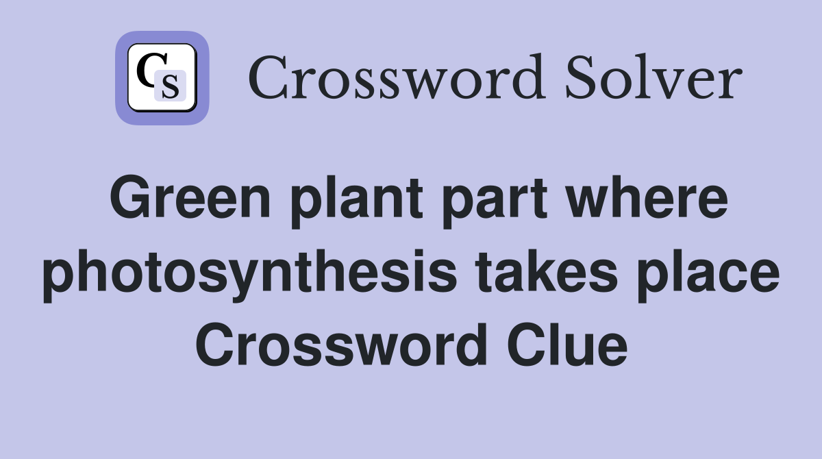 Green plant part where photosynthesis takes place Crossword Clue