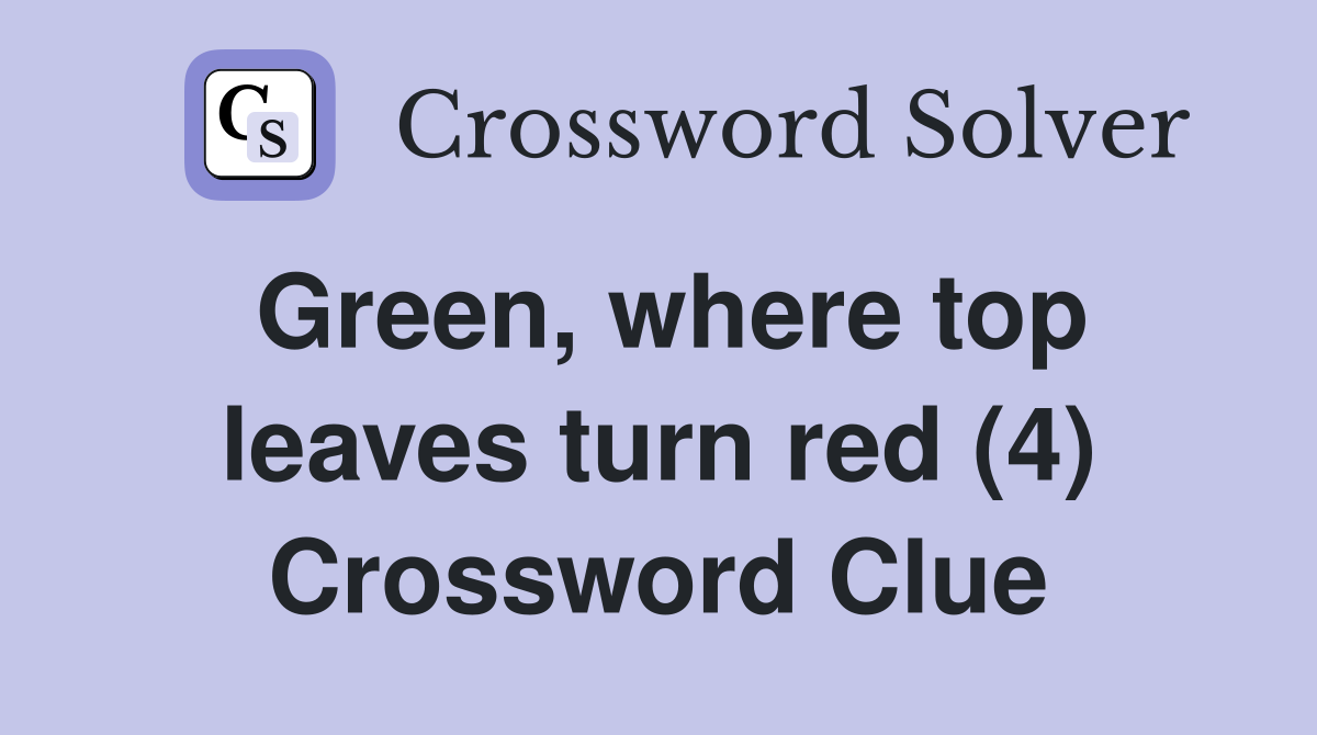 Green, where top leaves turn red (4) Crossword Clue